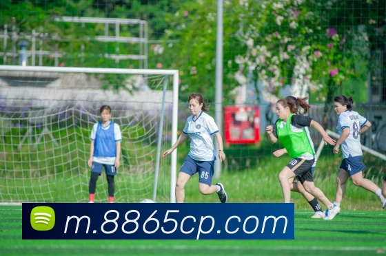 平台使命图